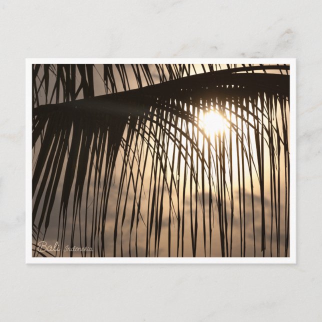 Palm Sunset Time in Balian, Bali - ART Postcard Postkarte (Vorderseite)