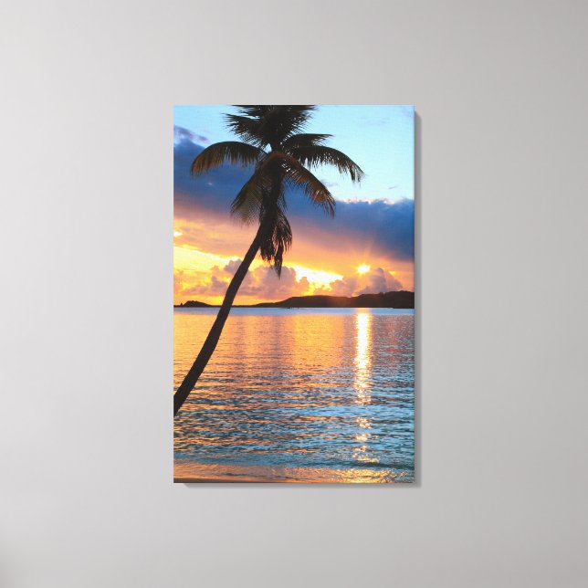 Palm Tree and Caribbean Sunset Sky, St. Thomas Leinwanddruck (Vorderseite)