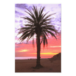 Palm Tree and Dawn Sky Fotodruck