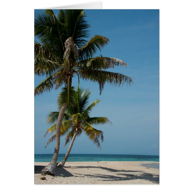 Palm tree and White Beach (Vorne)