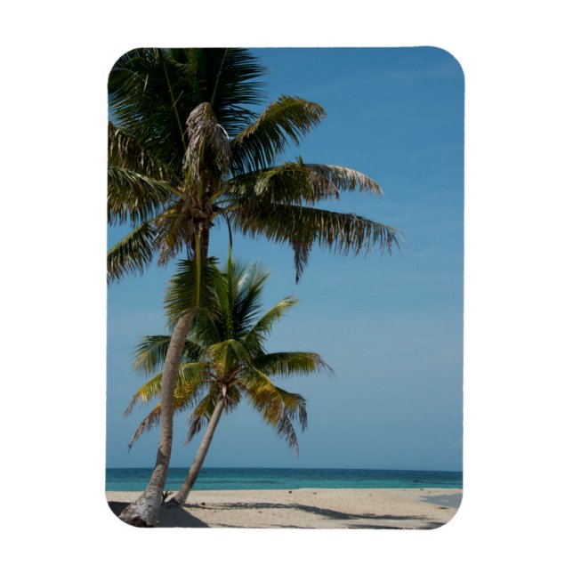Palm tree and White Beach Magnet (Vertikal)