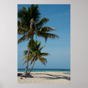 Palm tree and White Beach Poster