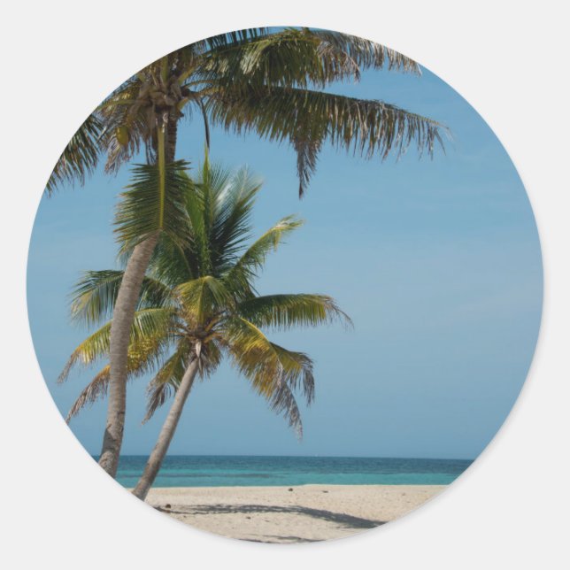 Palm tree and White Beach Runder Aufkleber (Vorderseite)