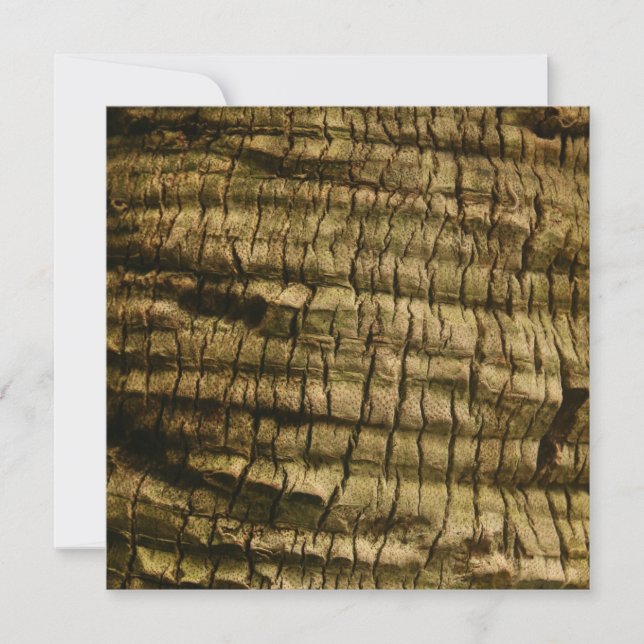 Palm Tree Bark Feiertagskarte (Vorderseite)