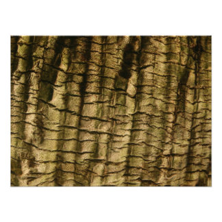 Palm Tree Bark Fotodruck