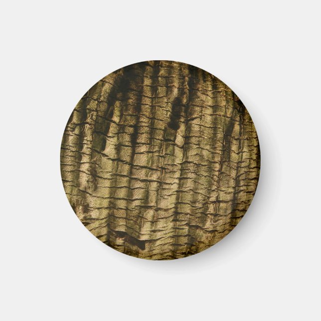 Palm Tree Bark Magnet (Vorne)