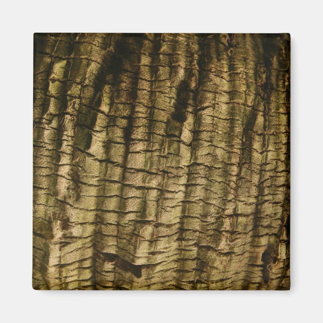Palm Tree Bark Magnet (Vorne)