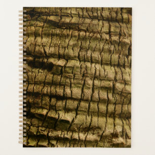 Palm Tree Bark Planer