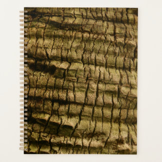 Palm Tree Bark Planer