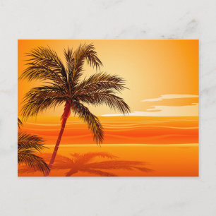 Palm Tree Beach Sunset Postkarte