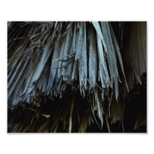 Palm Tree Blätter Fotodruck