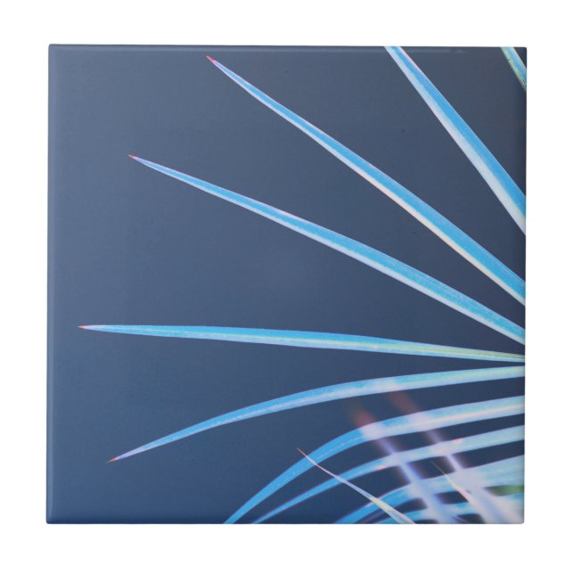 Palm Tree Blätter Minimalismus Sketch Fliese (Vorderseite)