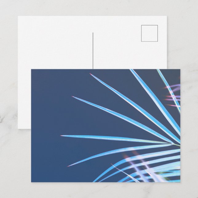 Palm Tree Blätter Minimalismus Sketch Postkarte (Vorne/Hinten)