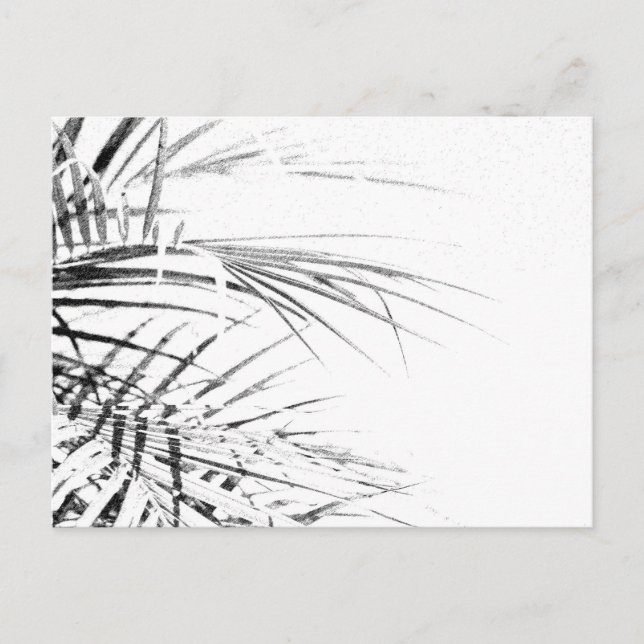 Palm Tree Blätter Minimalismus Sketch Postkarte (Vorderseite)