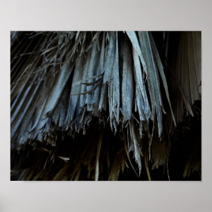 Palm Tree Blätter Poster