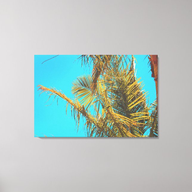 Palm Tree Blätter Turquoise Sky Leinwanddruck (Vorderseite)