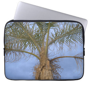 Palm Tree Blue Sky Laptop Sleeve
