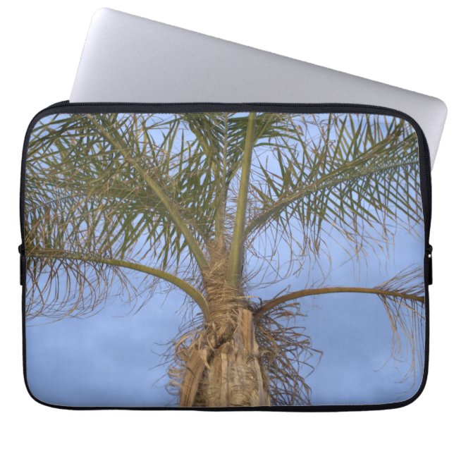 Palm Tree Blue Sky Laptop Sleeve (Vorderseite)