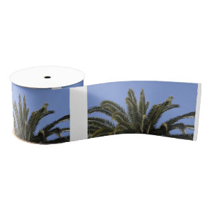 Palm Tree Blue Sky Tropical Ripsband
