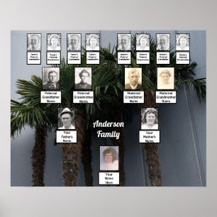 Palm Tree Cluster Foto Family Tree Poster