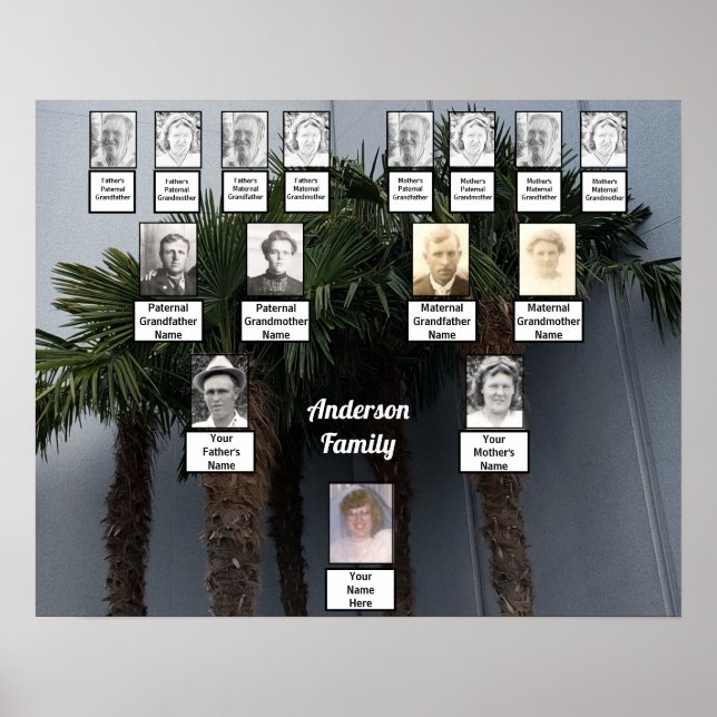 Palm Tree Cluster Foto Family Tree Poster (Vorne)