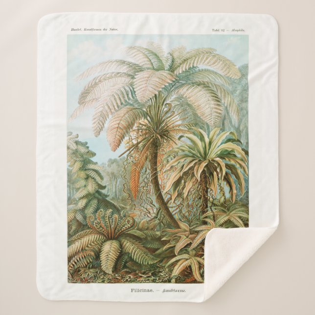Palm Tree Ernst Haeckel Sherpadecke (Vorderseite)