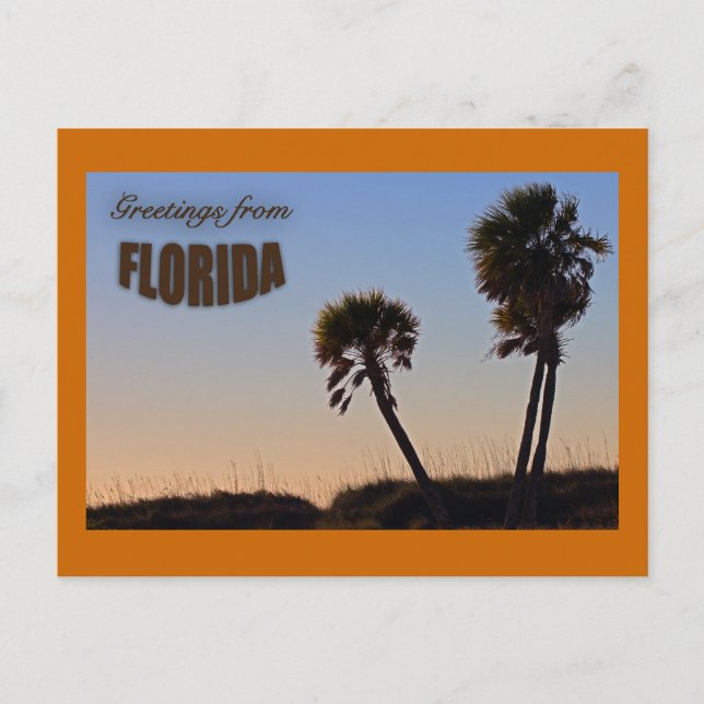 Palm Tree Florida Postcard Postkarte (Vorderseite)