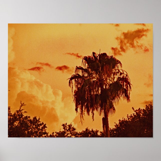 Palm Tree Golden Hour Poster (Vorne)