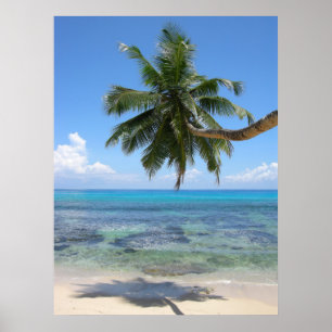 Palm Tree Island Poster