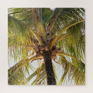 Palm Tree Jigsaw Puzzle