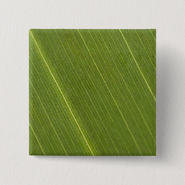Palm Tree Leaf Button (Vorderseite)