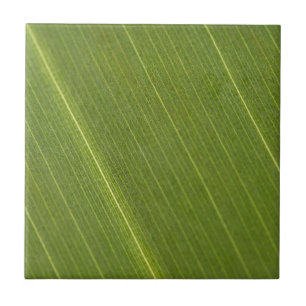 Palm Tree Leaf Fliese
