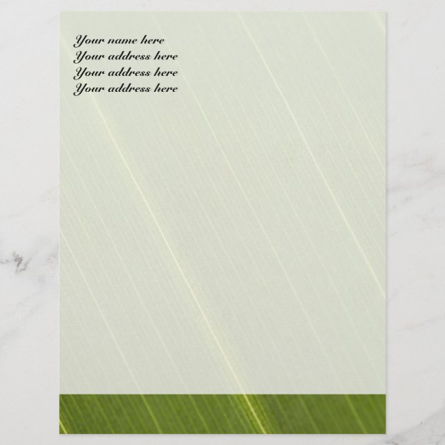 Palm Tree Leaf Letterhead Design Briefbogen (Vorderseite)