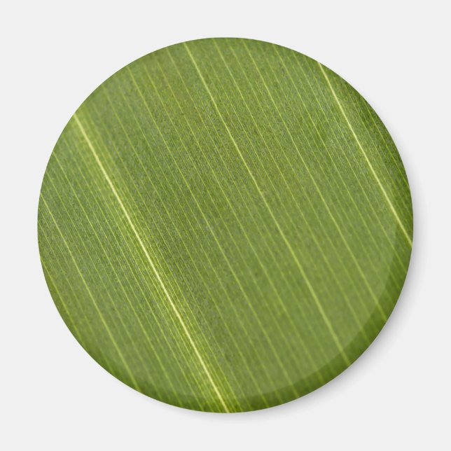Palm Tree Leaf Magnet (Vorne)