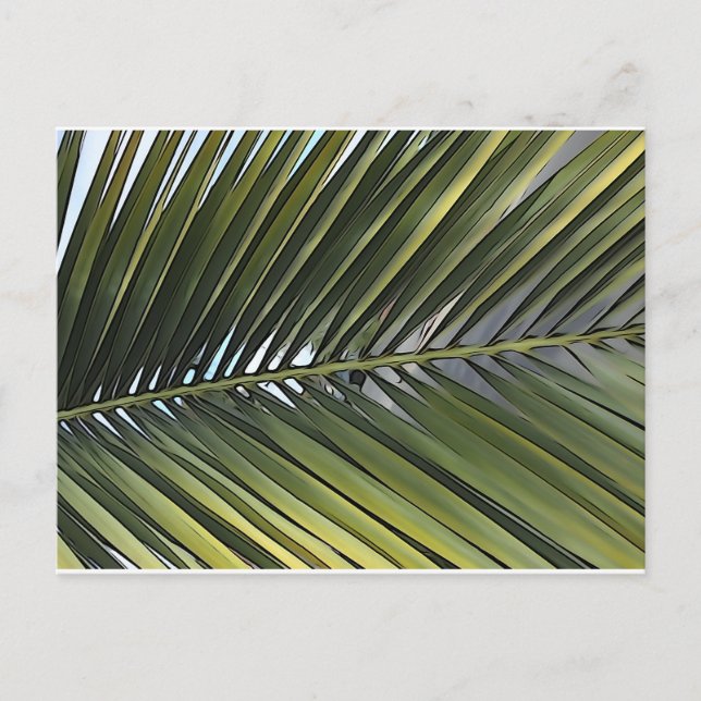 Palm Tree Leaf Postcard Postkarte (Vorderseite)
