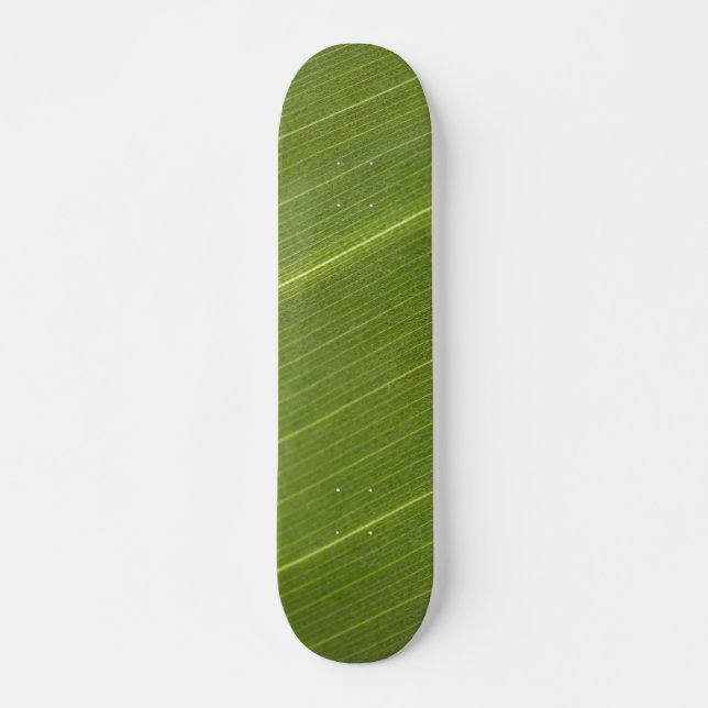 Palm Tree Leaf Skateboard (Vorne)