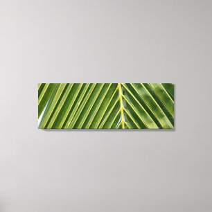 Palm Tree Leinwanddruck