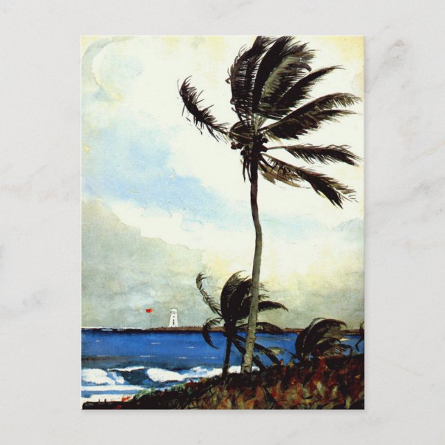 Palm Tree-Nassau Postkarte (Vorderseite)