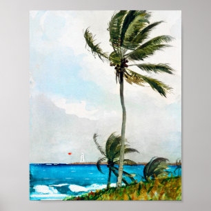 Palm Tree Nassau von Winslow Homer Poster