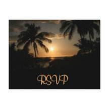 Palm Tree Ocean Sunset UAWG