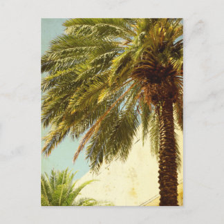 Palm Tree Postcard Postkarte