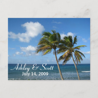 Palm Tree Postcard Postkarte