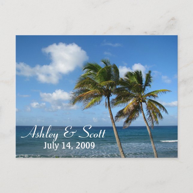 Palm Tree Postcard Postkarte (Vorderseite)