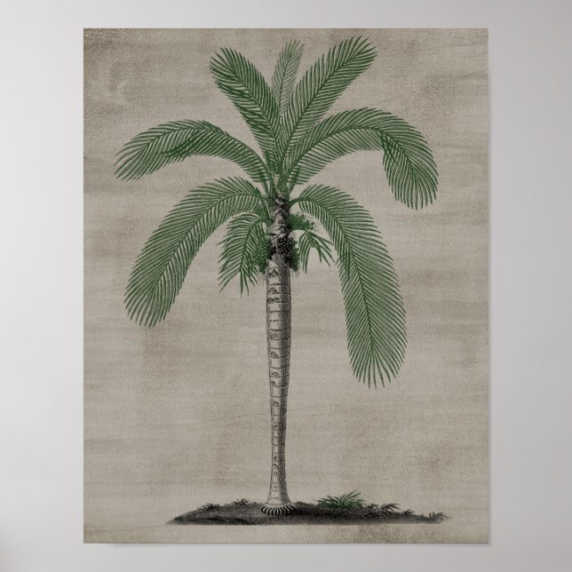 Palm Tree Poster (Vorne)