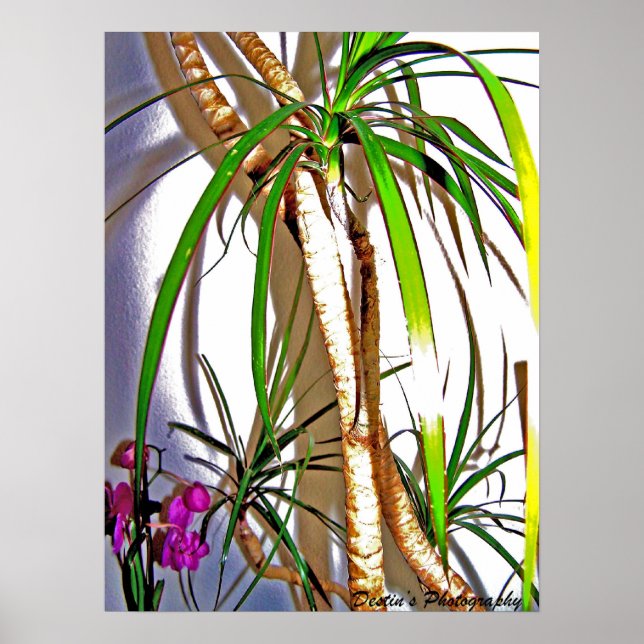 Palm Tree Poster (Vorne)