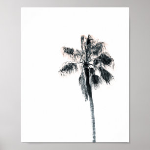 Palm Tree Poster   Rosa 8x10