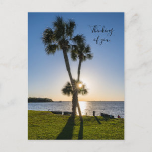 Palm Tree Schere Silhouette denken Sie an Postkart Postkarte