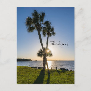 Palm Tree Scissors Silhouette Danke Postcard Postkarte