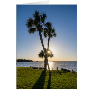 Palm Tree Scissors Silhouette Grußkarte