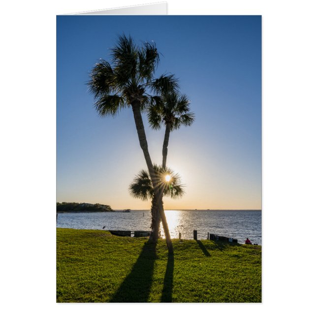 Palm Tree Scissors Silhouette Grußkarte (Vorne)